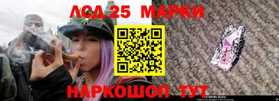 бошки Донской