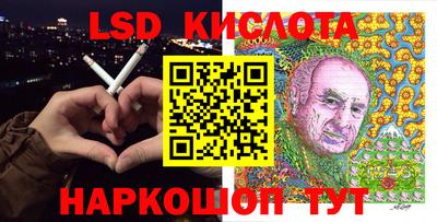 стаф Дубна