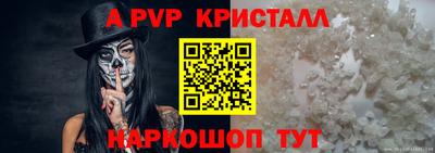 стаф Дубна