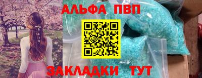 стаф Дубна