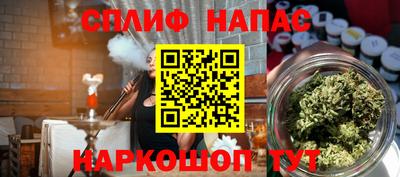 стаф Дубна