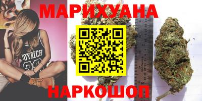 стаф Дубна