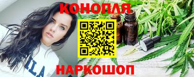 стаф Дубна