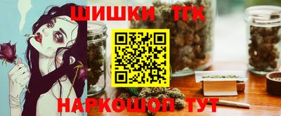 стаф Дубна